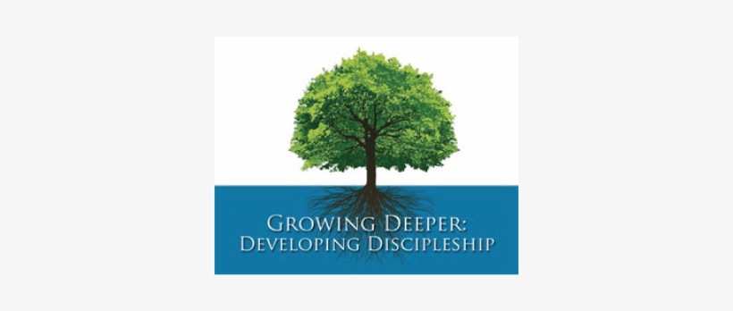 Use These Toolkits On The Nature Of Discipleship In - Real Life By Ferenc Mate, transparent png