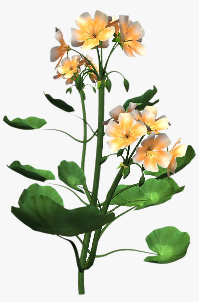 Plant Png - Flower For Embroidery Design, transparent png