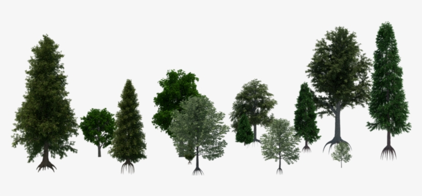 They're Also Very Easy To Import In Any Of Your Projects - Terrain Texture Tree, transparent png
