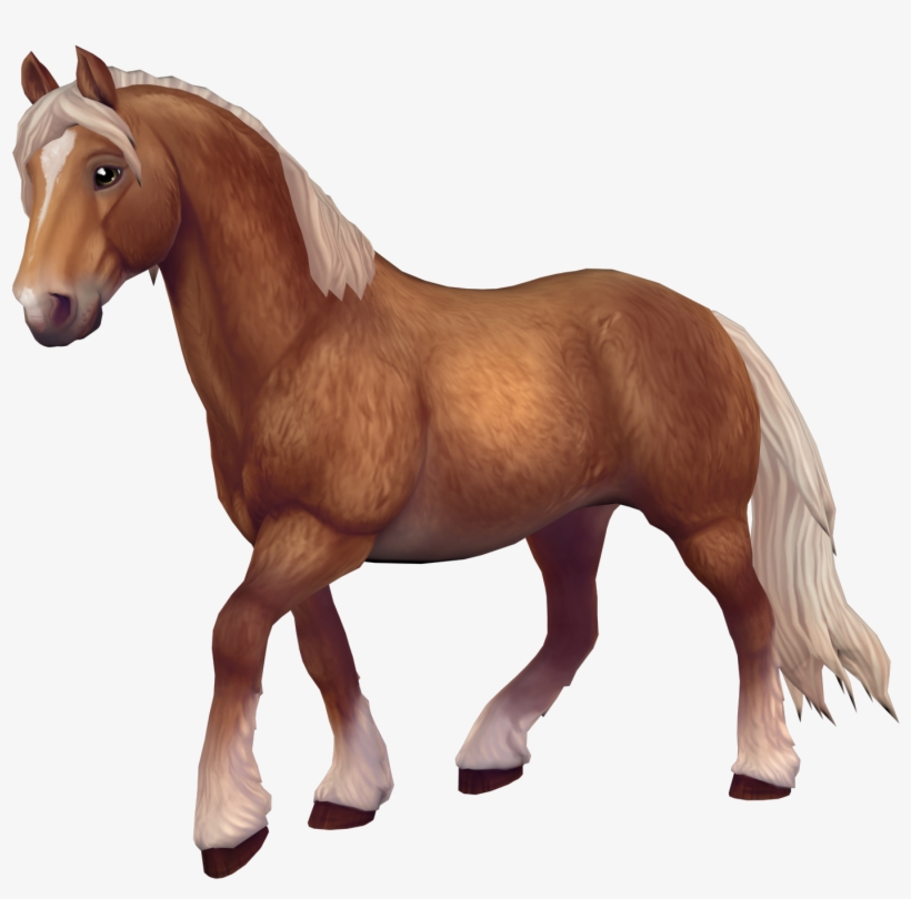 Fjord Horse - Стар Стейбл Северо Шведская Лошадь, transparent png