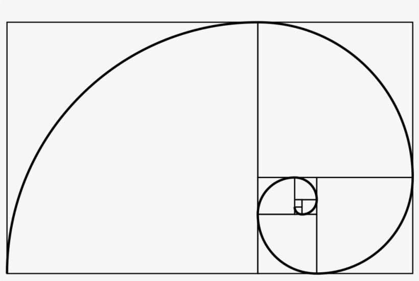 Fibonacci Spiral - Fibonacci Spiral Png, transparent png