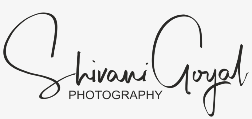 Photography Png Transparent Logos, transparent png