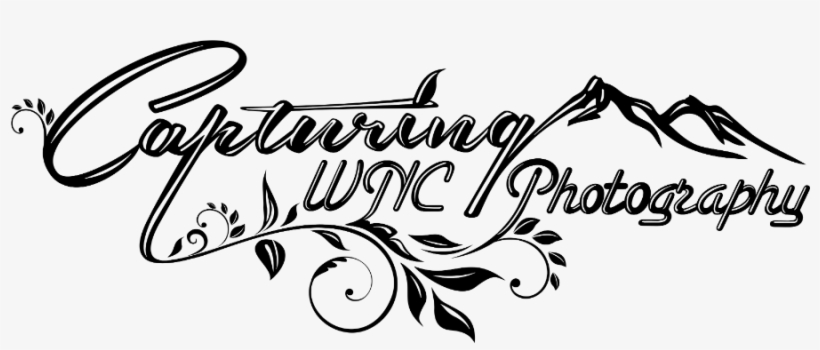 Logo - Logo Png In Photography, transparent png