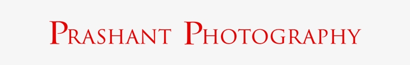 Female Models, Female Models Portfolio Photography - Prashant Photography Text Png, transparent png
