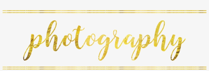 Asset 27@4x - Asset, transparent png