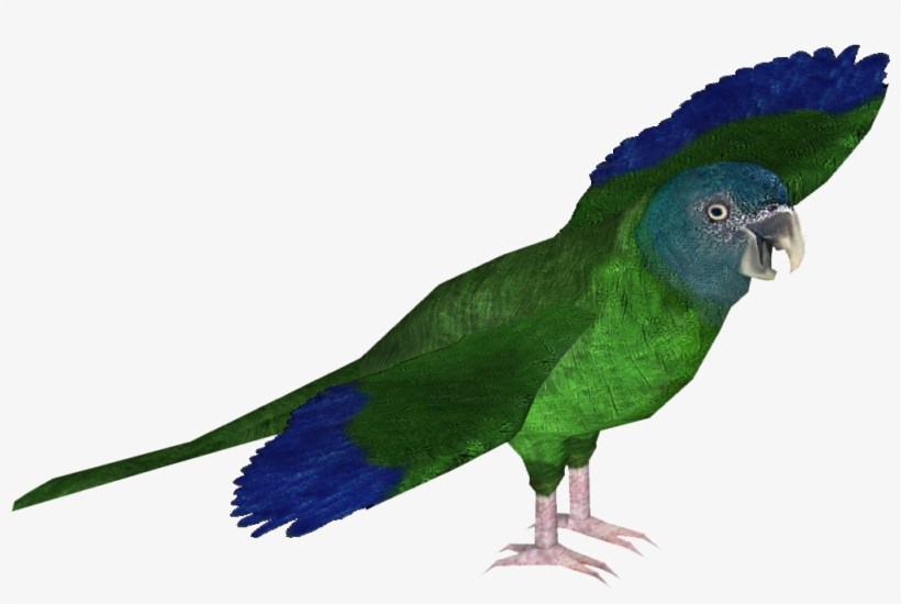 Blue-headed Macaw - Zt2 Macaw, transparent png