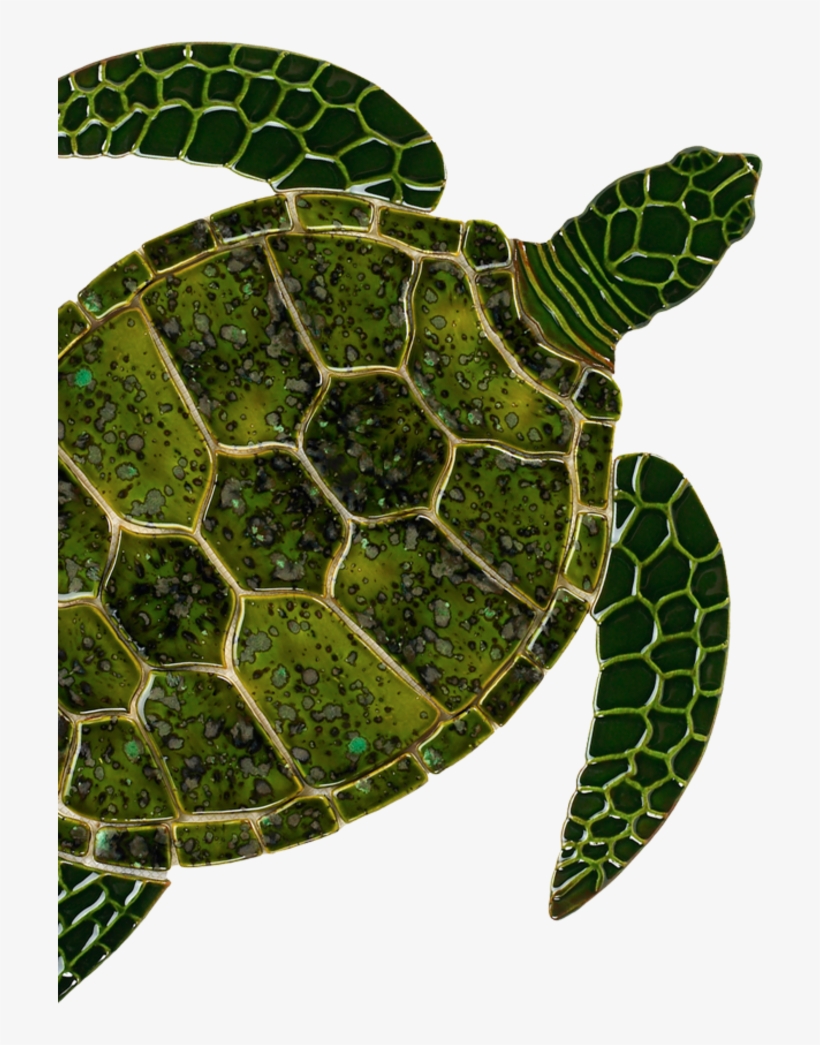 Sea Turtle Art Clipart Sea Turtle Tortoise - Sandy Sea Turtle Sandy Sea Turtle Sticker (oval), transparent png