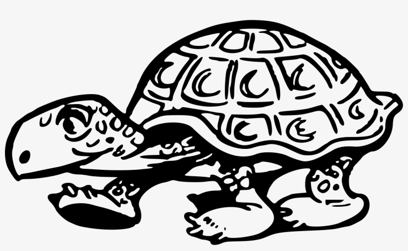 Big Image - Tortoise Clip Art, transparent png
