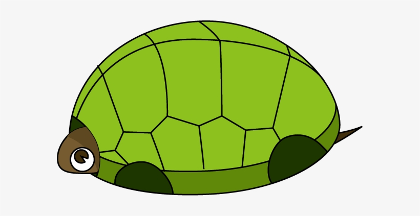 Tortoise Clipart - Clipart Best - Turtle, transparent png