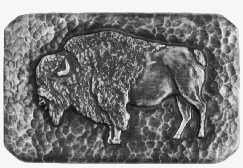 Bison, transparent png