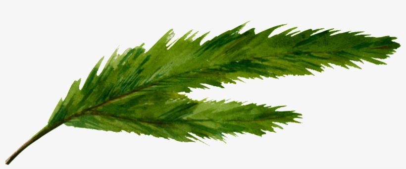 Un Green Split Leaf Png Transparente - Cannabis, transparent png