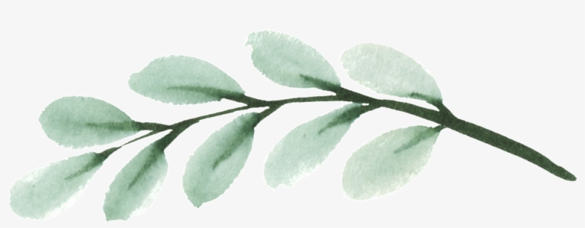 Este Gráficos Es Leaf Vector Sobre Watercolor, Elegance, - Sd Home, transparent png