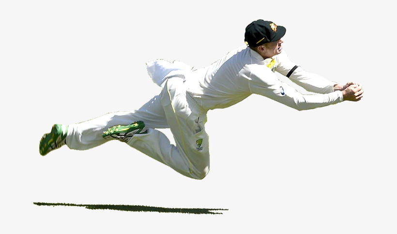 Dcc Was Officially Formed In - Cricket Transparent, transparent png