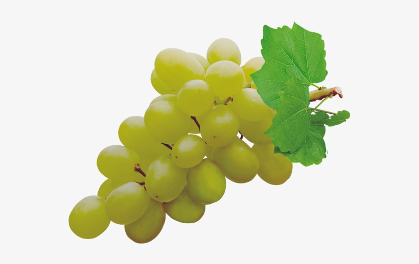 Grapes Png Pic - Grape Thompson, transparent png