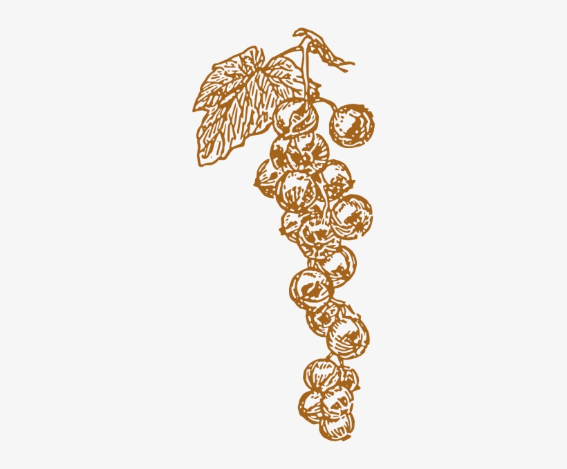 Brown Grapes Svg Clip Arts 264 X 598 Px, transparent png