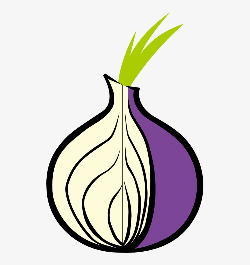 50476739 - Tor Onion, transparent png
