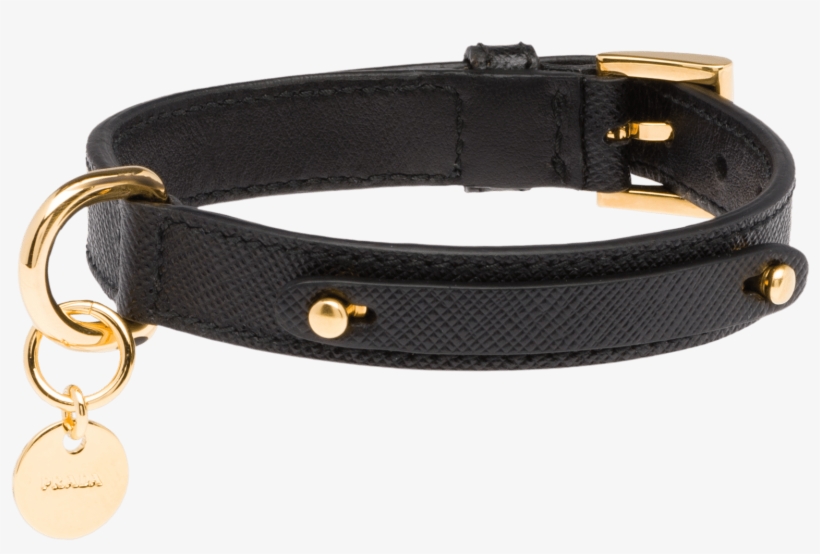 Prada Dog Collar 2400x2400 PNG Download PNGkit