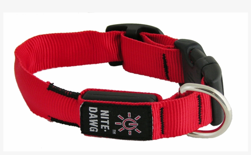 Nite Ize Nite Dawg Led Collar - Catalog Collar Dog Png, transparent png