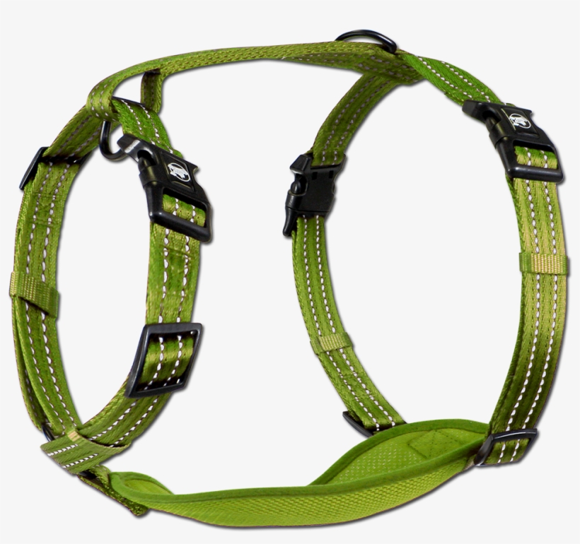 Dog Adventure Gear, transparent png