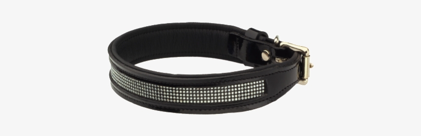 Teck Dog - Strap, transparent png
