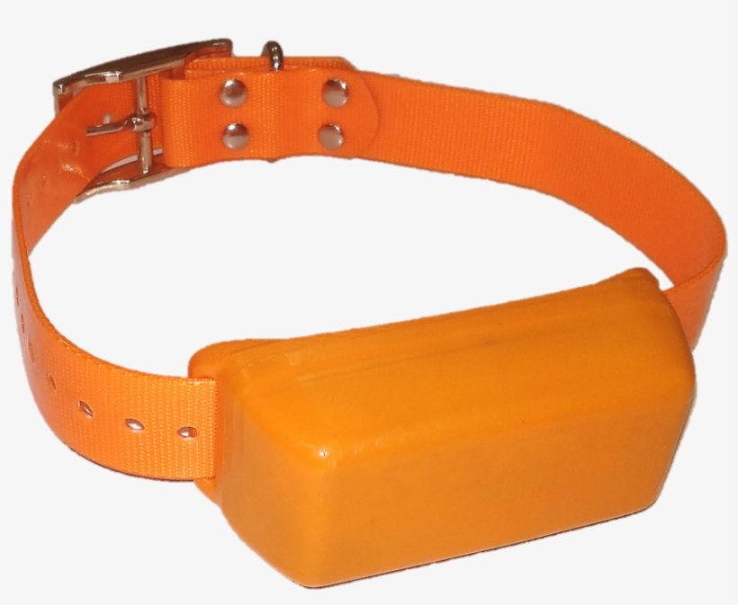 Belt, transparent png