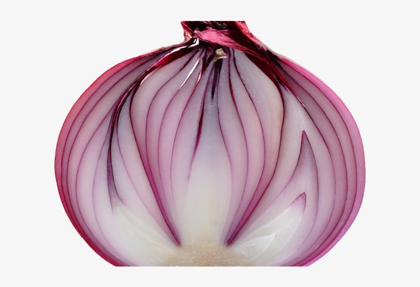 Onion Png Transparent Images - Red Onion Slice, transparent png