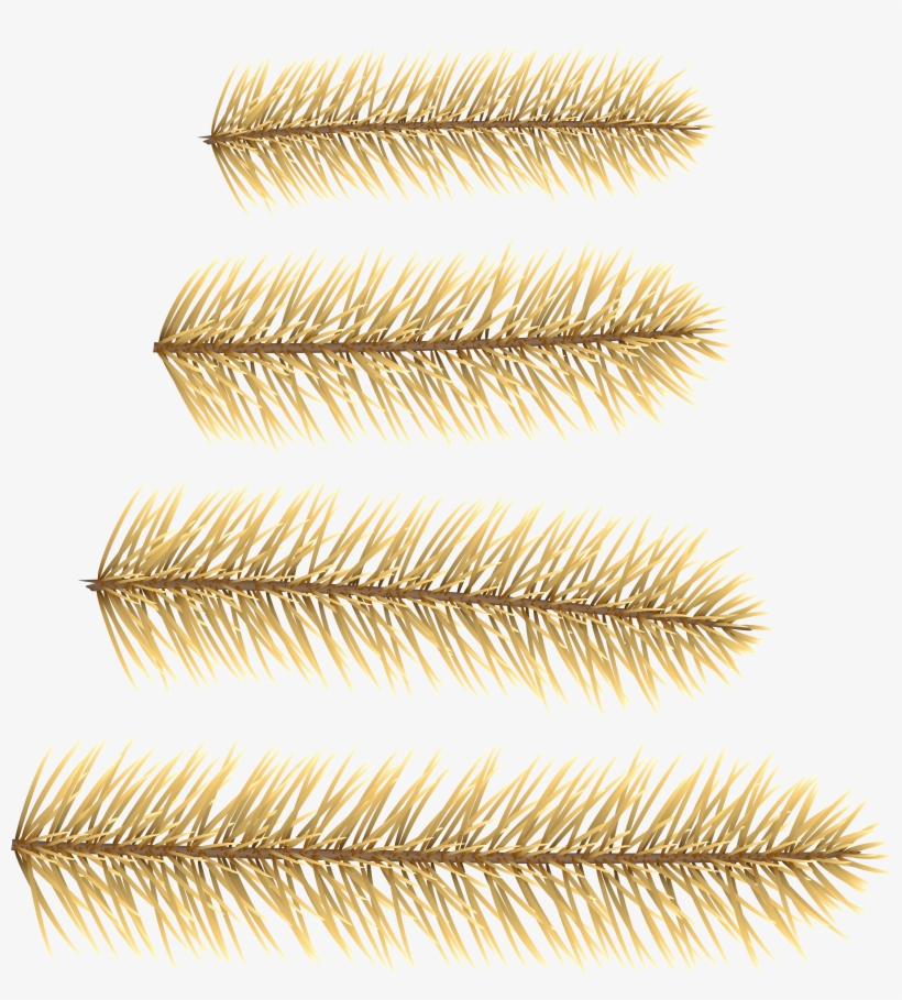Clip Art, transparent png