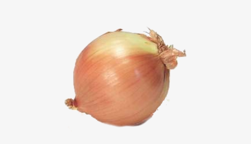 Onion Png Psd Detail - Onion Psd, transparent png