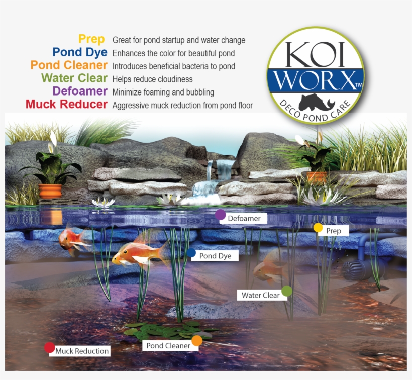 Line Of Crystal Blue Pond Colorants, Dye, And Cleaners - Sanco Industries Koiworx Muck Reducer, 145 Tablets,, transparent png
