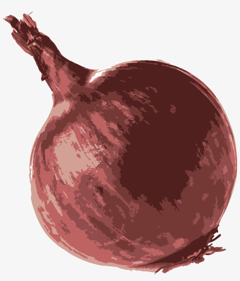Onion, transparent png