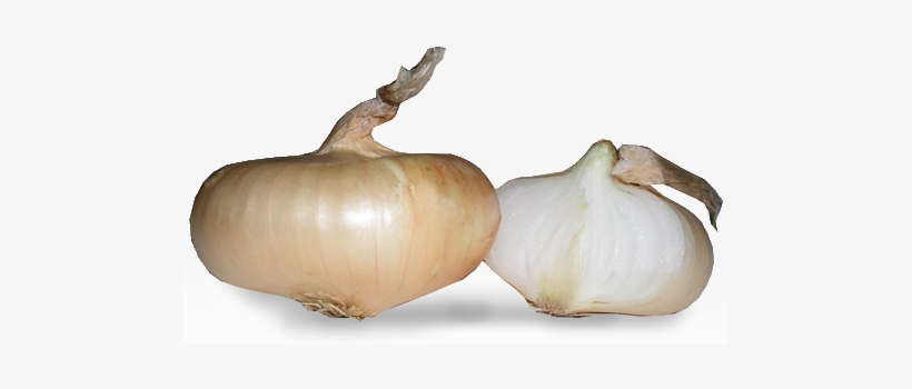 Cipollini Onions - Shallot, transparent png