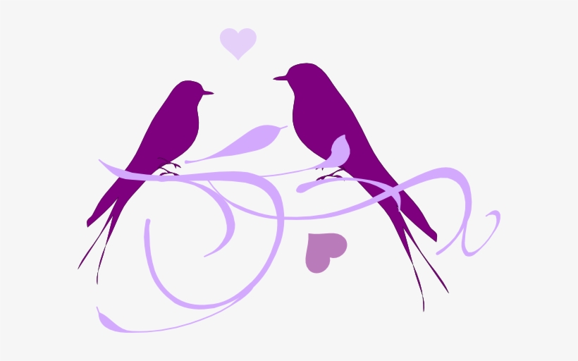Design Clipart Love - Love Birds Clipart Png, transparent png
