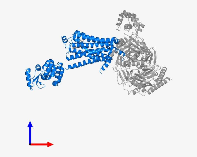 <div Class='caption-body'>pdb Entry 3sn6 Contains 1 - Protein Data Bank, transparent png