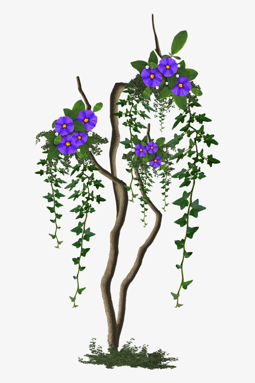 Image Cropped Tree With Flowers Tree - Lunch, transparent png