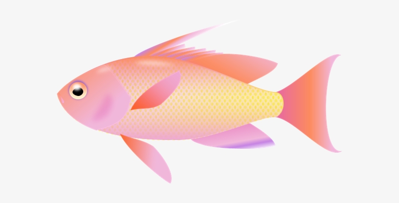 Fish Clipart Png Transparent - Clip Art, transparent png
