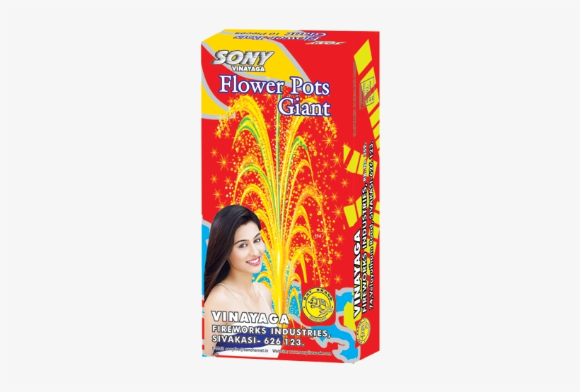 Flower Pots Giant - Sony Crackers, transparent png