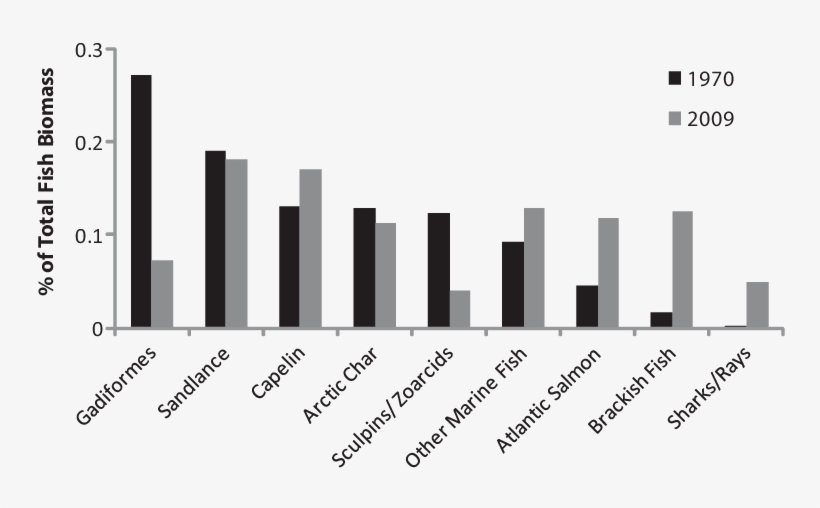 Percent Contribution Of Each Fish Group To Total Fish - Histogram, transparent png