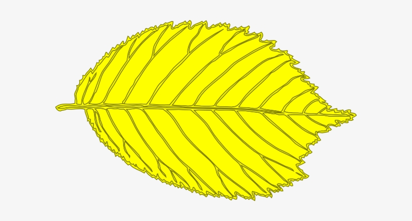 Clip Art, transparent png