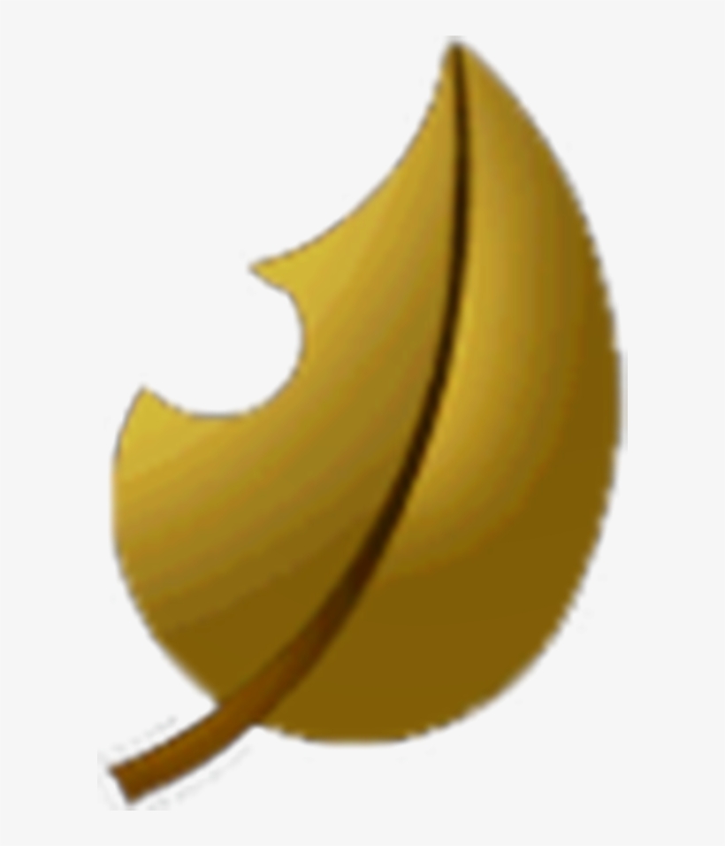 File History - Mario Kart Wii Leaf Cup, transparent png