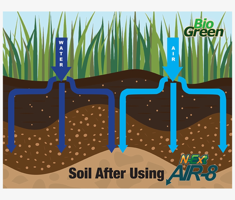 Lawn Aeration - Lawn Aeration Graphic, transparent png