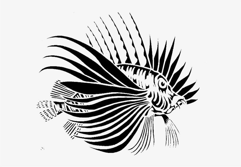 The Centre For Conservation Geography Is A Research - Conservation, transparent png