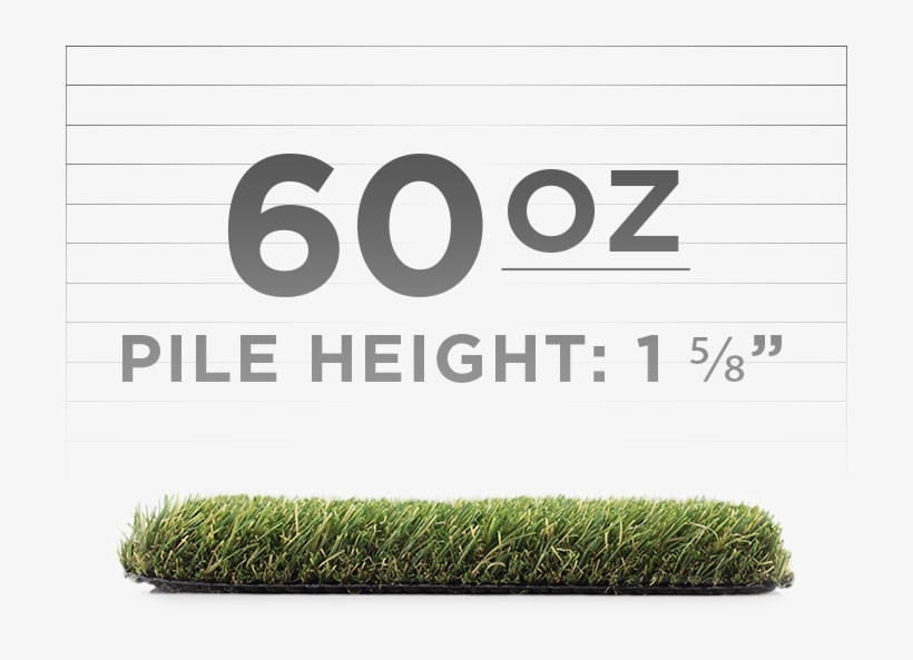 Brown/green • Roll Width - Broughton's Rules Bounty Hunter 1853, transparent png