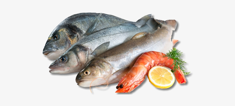 We Also Offer Complimentary Fish Frying At All Of Our - Fish And Seafood Png, transparent png
