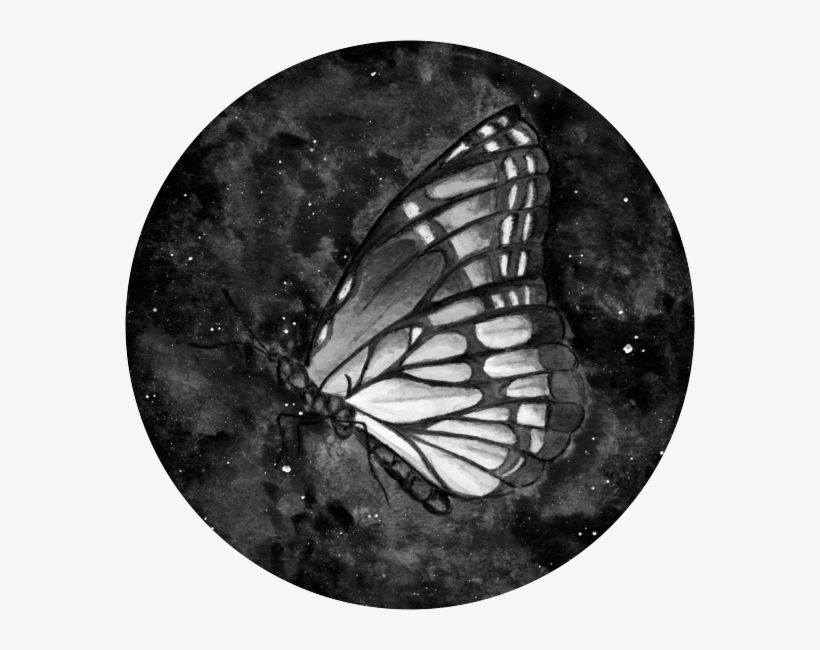The Medium Used For This Project Was Watercolour And - Portfolio, transparent png