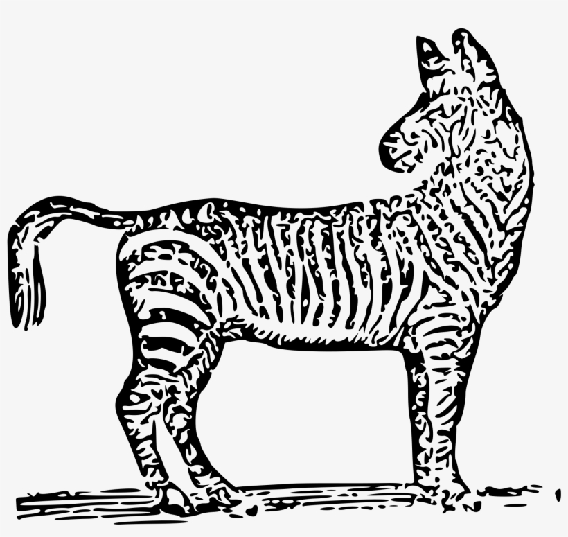 Open - Illustration, transparent png