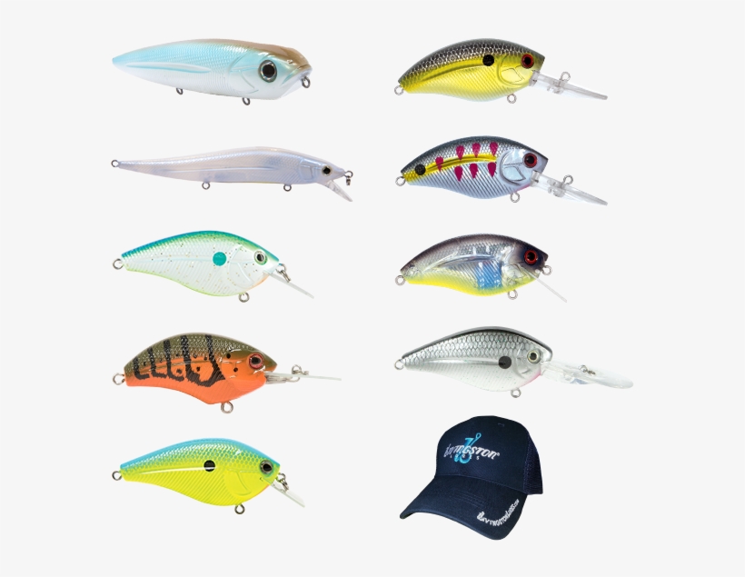 Group Package Deal - Livingston Lures, transparent png