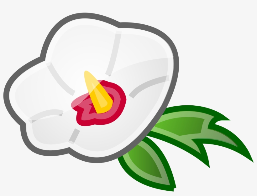 240 × 240 Pixels - Rose Of Sharon Clipart, transparent png