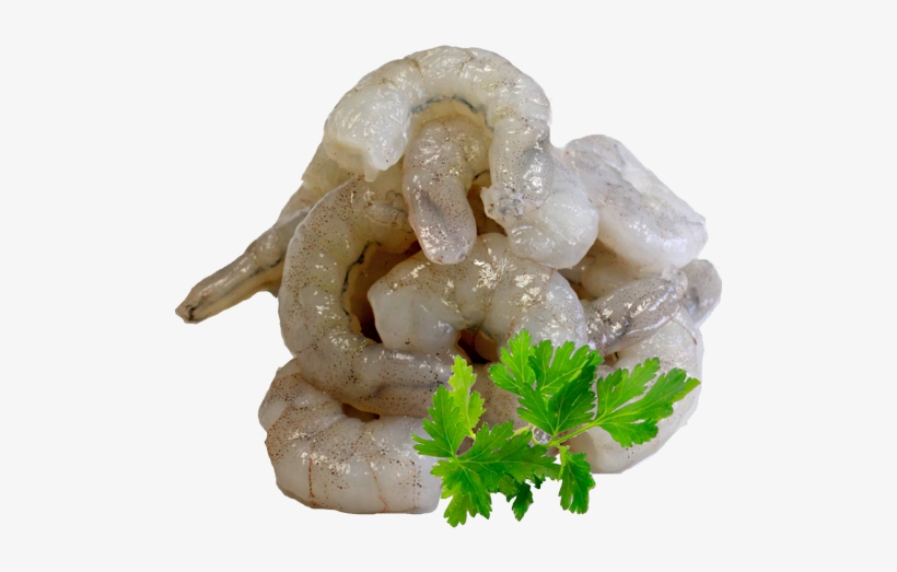 White Tiger Prawn Meat Broken 800gm Iqf - Pietruszka, transparent png
