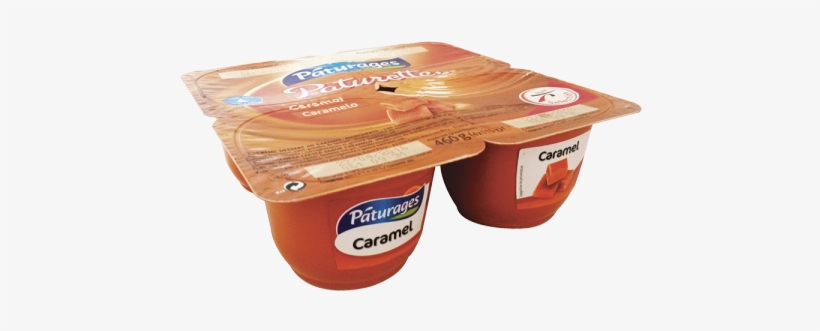 0678 Cd Paturette Caramel X4 - Chocolate Ice Cream, transparent png