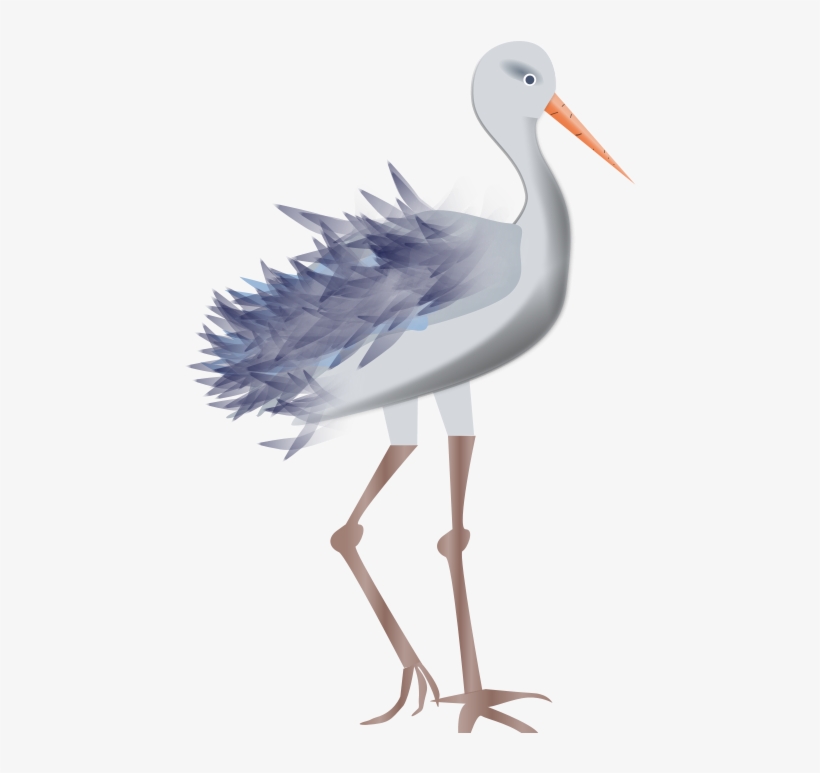 Bird - Bird Legs Clipart, transparent png